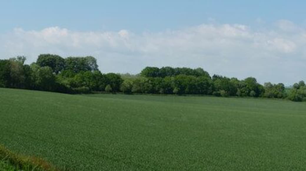 Mid Devon : Grassy Field & Countryside