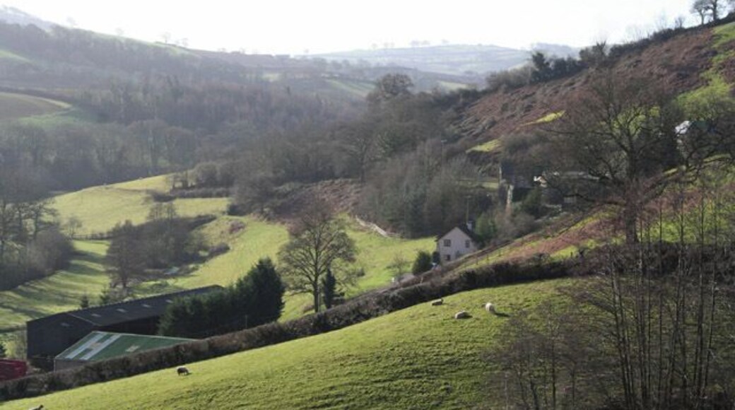 Cadeleigh: East Court. Looking south west up the Burn valley; seen from a point near Barns Close