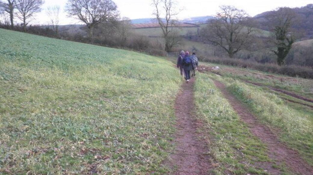 Footpath, near Cadeleigh Court