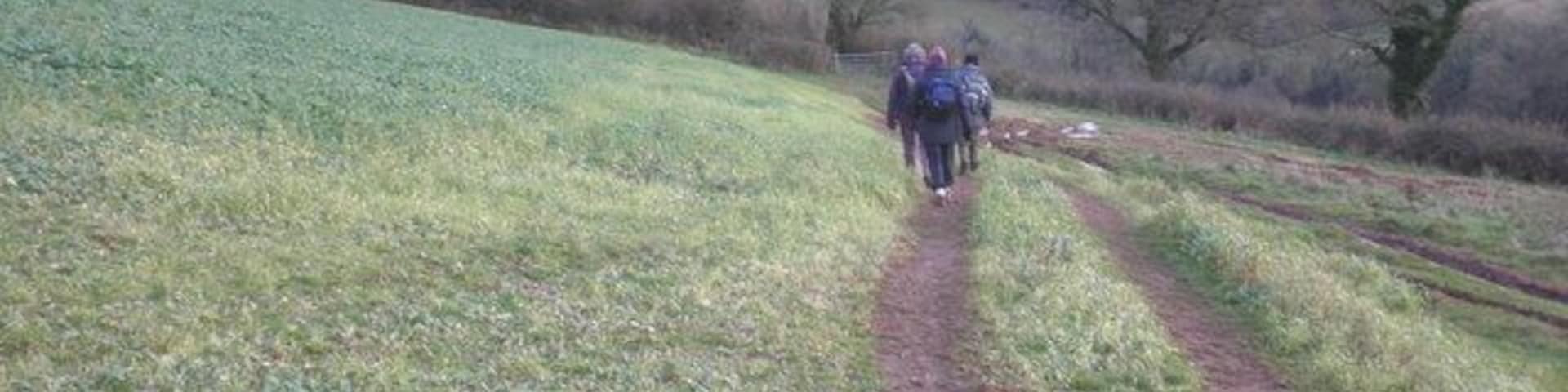 Footpath, near Cadeleigh Court