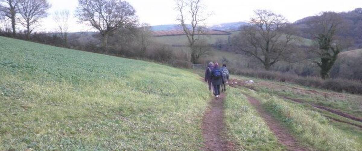 A group of hikers on a dirt path in a rural area with rolling hills and sparse trees.