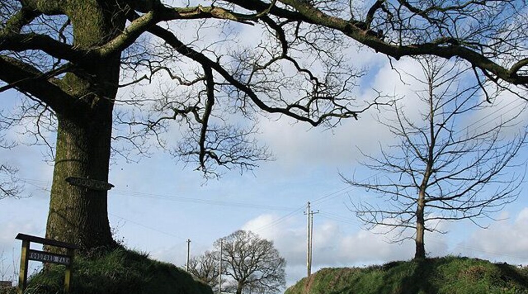 Thelbridge: entrance to Woodford Farm By the B3042 Chawleigh-Witheridge road, looking north-north-west. The Two Moors Way uses this lane