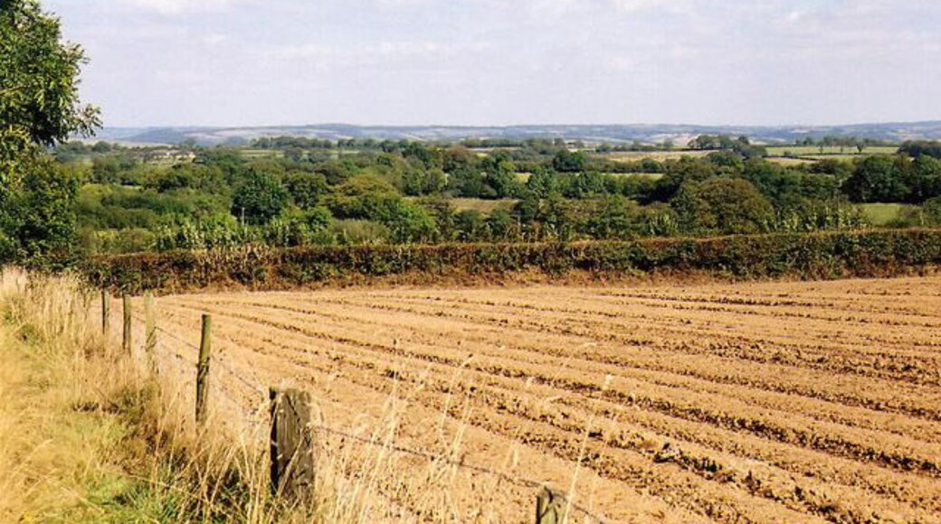 Oakford: near Esworthy Cross. Looking north east