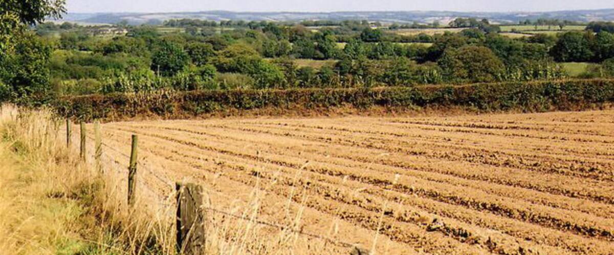 A rural landscape with fields, a fence, and distant trees.