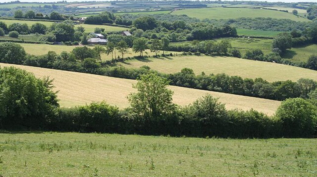 Stoodleigh: towards Rull. Looking south west from a point just south of Ash. Rull farm is in mid-distance