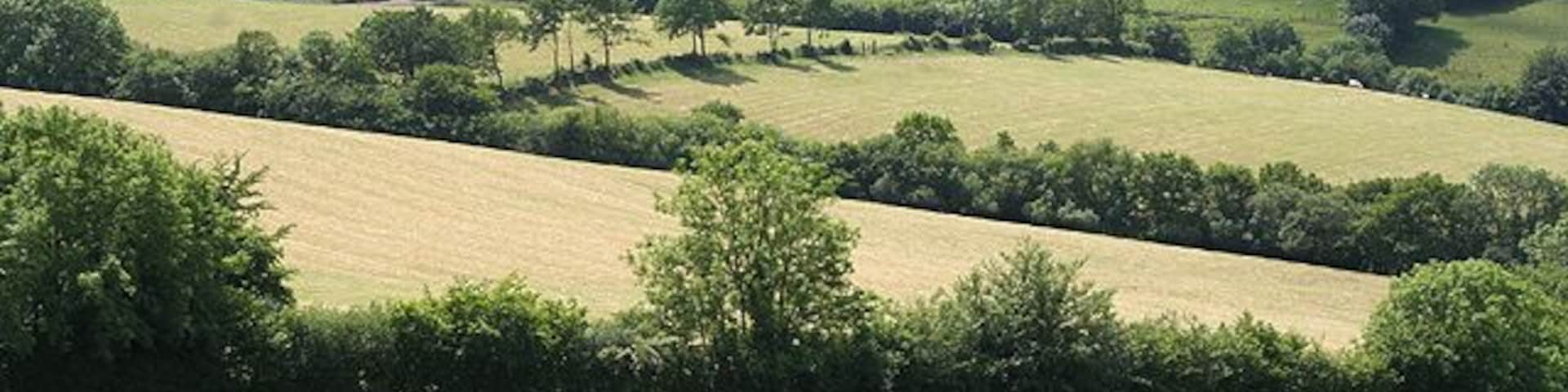 Stoodleigh: towards Rull. Looking south west from a point just south of Ash. Rull farm is in mid-distance