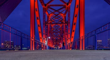 Een nachtzicht van een grote rode brug met een ingewikkelde liggerconstructie, omzoomd door blauwe hekken en stadsgebouwen op de achtergrond.