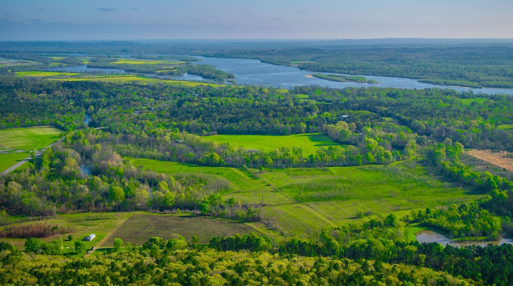 Pinnacle Mountain in Little Rock, Arkansas