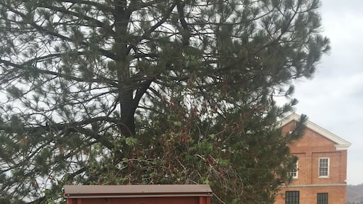 Old court house out in country back of Clovis.