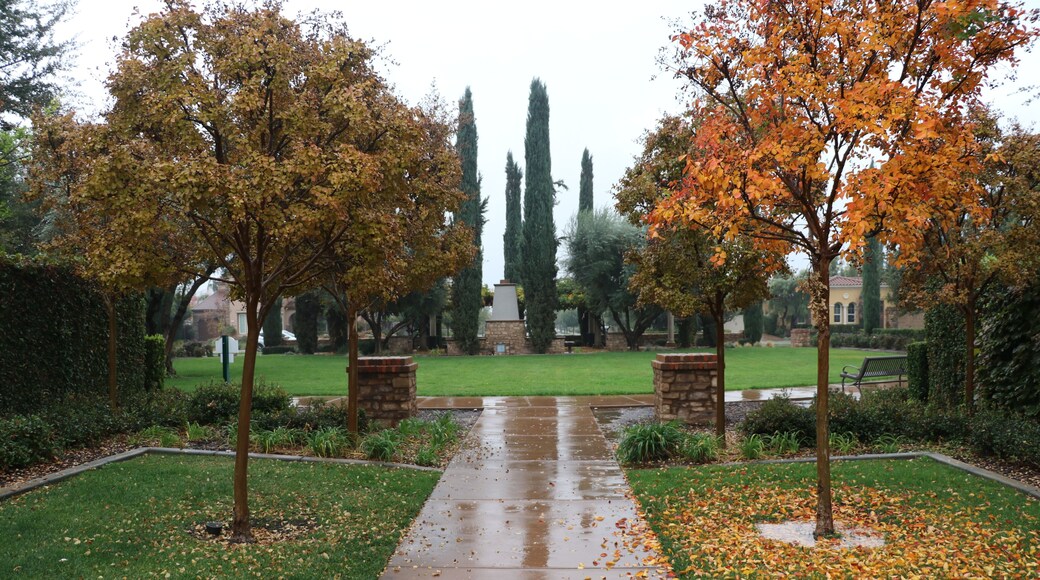 Clovis