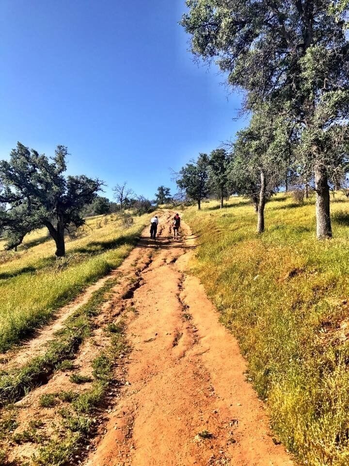 #SpringFun Pincushion Mountain at San Joaquin River located at the end of Sky Harbour Rd behind Table Mountain Casino. #Hiking #GetOutside #TheGreatOutdoors #Nature #OurBeautifulAndWonderfulWorld #BeActive #AllUpHill  This is the first leg of the hike which opens up to a flat plateau for viewing the scenery. I was told there's another hill steeper than this one. I was about 15 yards from the top when I had to take my inhaler (safety first) I'll make it next time. I'll just get an earlier start when it's cooler. 