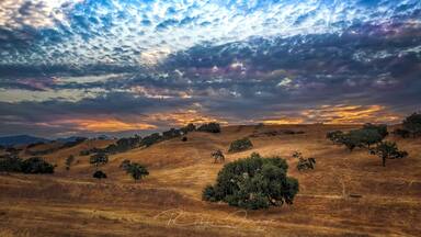 Central Coast vineyard country. A great place for astrophotography, a completely different look than the desert or craggy mountains. Huge oak trees and of course vineyards. This was a morning greeting over the oak laden rolling hills.
#natgeo #travel #artofvisuals #natgeotravel #beautifuldestinations #nikon #sonyalpha #instatravel#traveltheworld #bbctravel #aroundtheworld
#tourtheplanet #bestintravel #roamtheplanet #picoftheday #TLPicks #NatGeoYourShot #californiaadventure #visitcalifornia #westcoast_exposures #travelcalifornia
#ExploringTheGlobe #justgoshoot #artofvisuals #cnntravel
#milkyway #astrophotography #nightscaper #skyporn