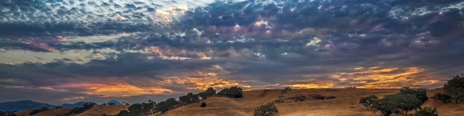 Central Coast vineyard country. A great place for astrophotography, a completely different look than the desert or craggy mountains. Huge oak trees and of course vineyards. This was a morning greeting over the oak laden rolling hills.
#natgeo #travel #artofvisuals #natgeotravel #beautifuldestinations #nikon #sonyalpha #instatravel#traveltheworld #bbctravel #aroundtheworld 
#tourtheplanet #bestintravel #roamtheplanet #picoftheday #TLPicks #NatGeoYourShot #californiaadventure #visitcalifornia #westcoast_exposures #travelcalifornia 
#ExploringTheGlobe #justgoshoot #artofvisuals #cnntravel
#milkyway #astrophotography #nightscaper #skyporn