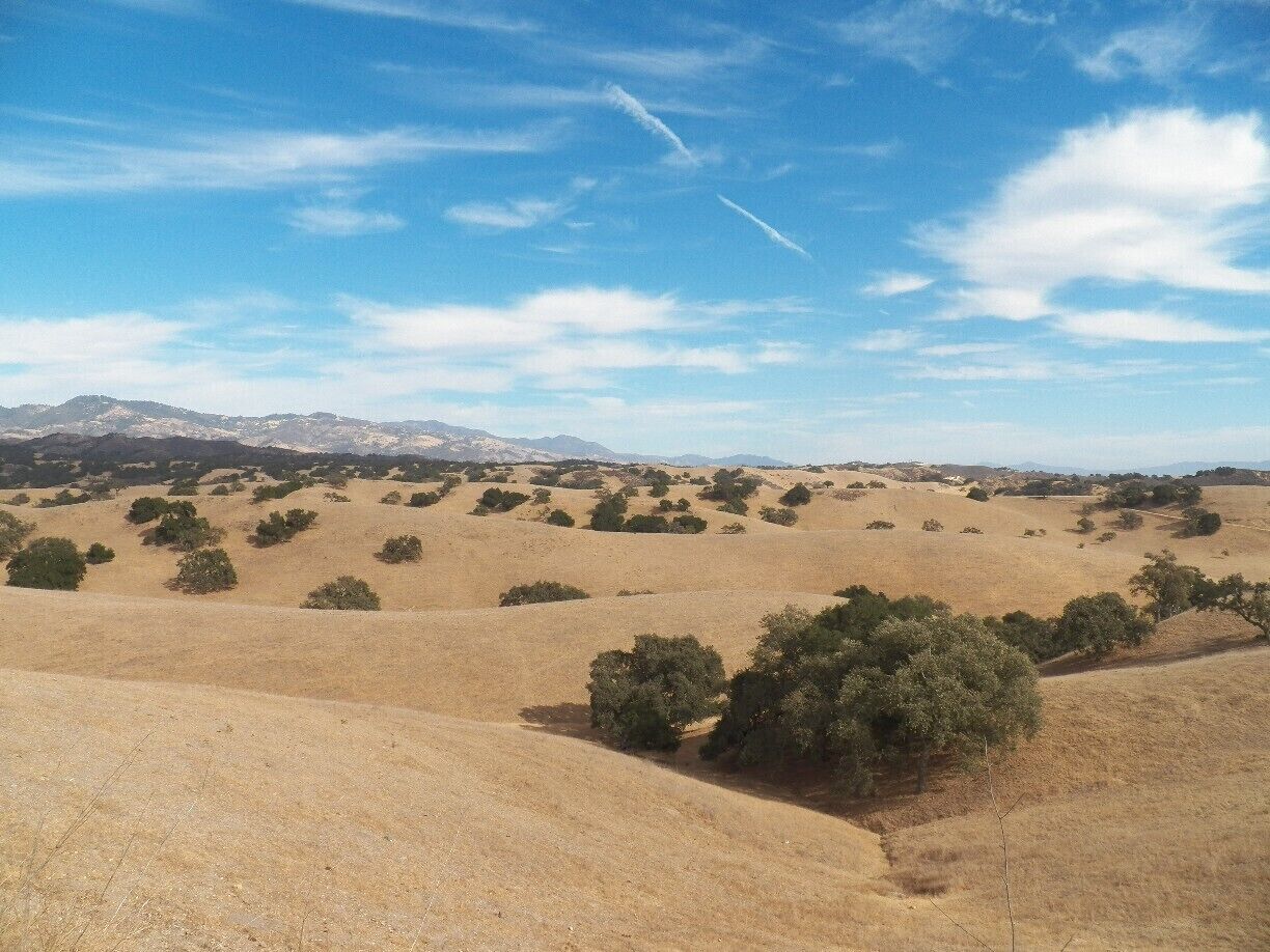 View from Zaca Road of the rolling hills of enchanting Los Olivos. 