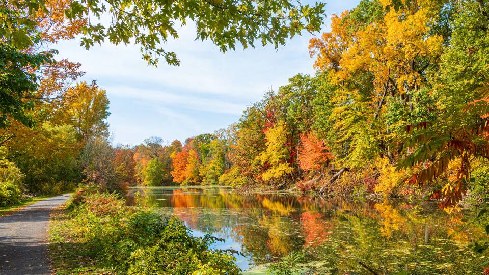 Fall foliage reflected in water alongside a path