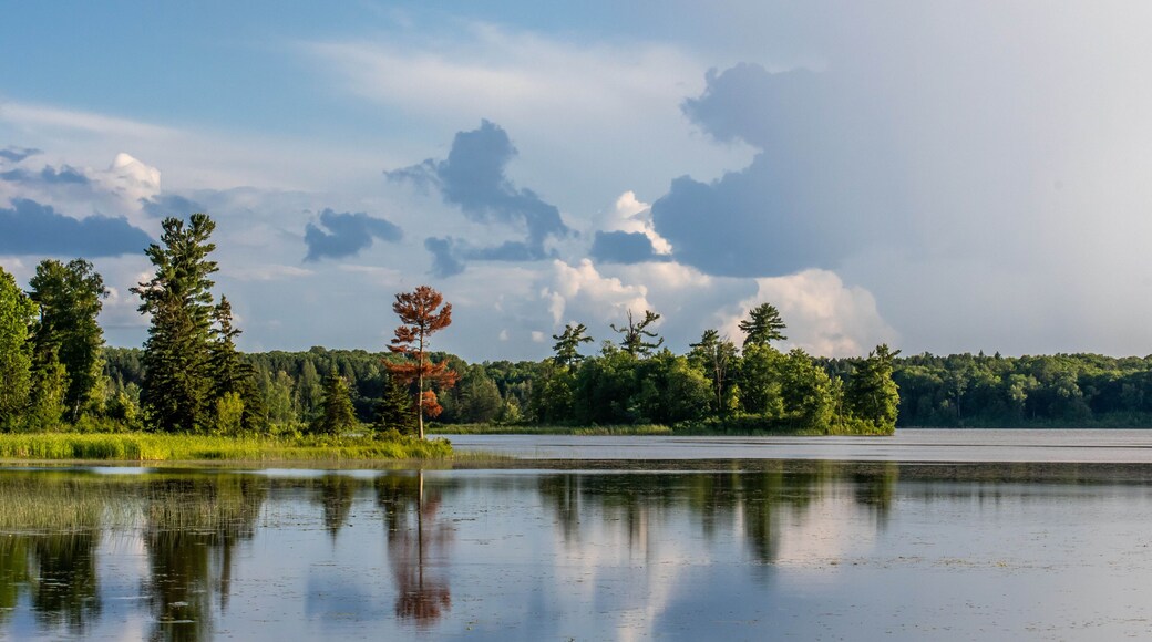 A beautiful overlooking view of nature in Tamarac NWR, Minnesota