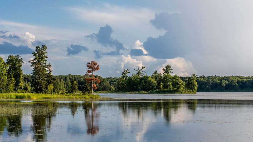 A calm lake with reflections of trees and a cloudy sky.