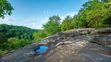 West Rim Loop Trail, Cloudland Canyon State Park, Georgia, USA