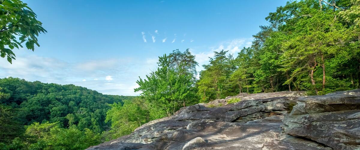 A rocky landscape with a small blue pond surrounded by dense green forest and trees.