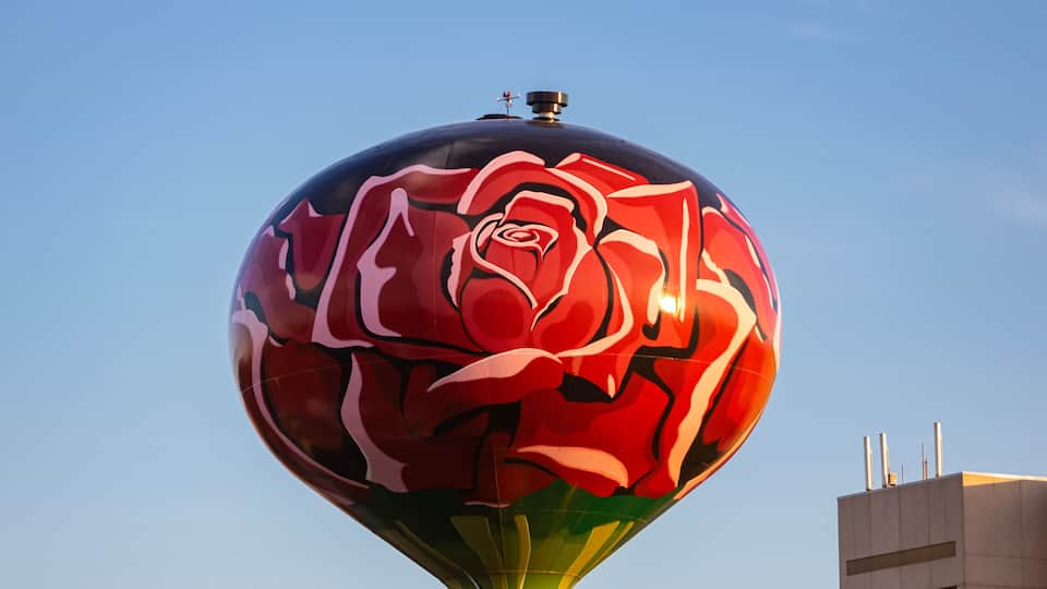A spherical structure with a red rose mural, a green base, and a clear sky in the background.