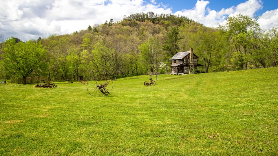 A grassy field with a wooden cabin on a hill, surrounded by trees.
