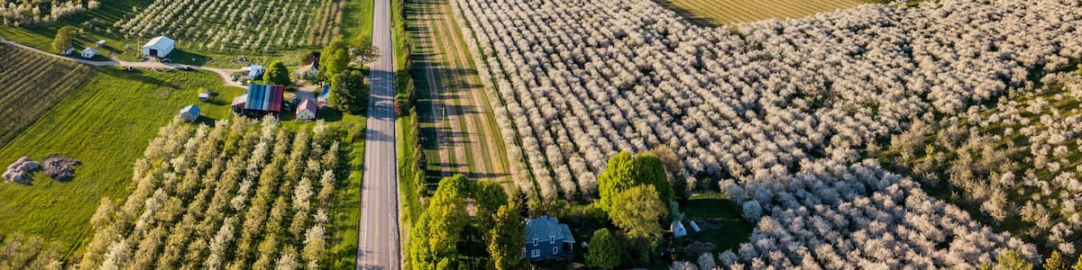 Traverse City Michigan