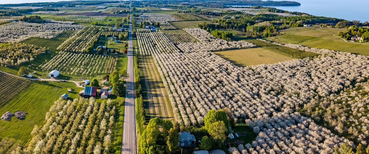 Traverse City Michigan