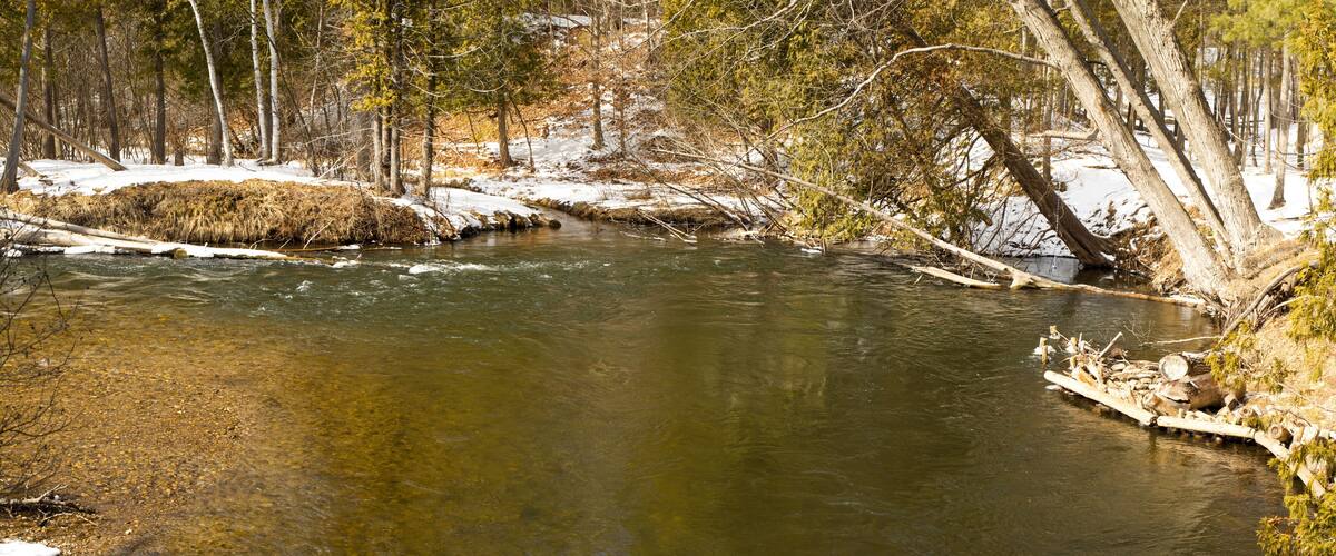 A river flowing through a forest with snow on the ground and trees.