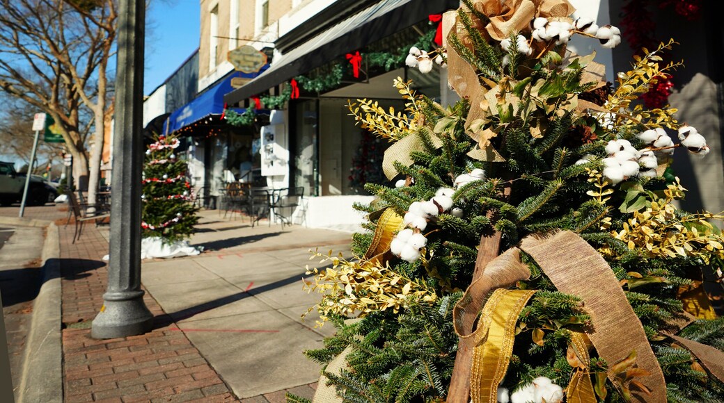 Shops in downtown Fuquay-Varina North Carolina decorated for the Christmas holiday