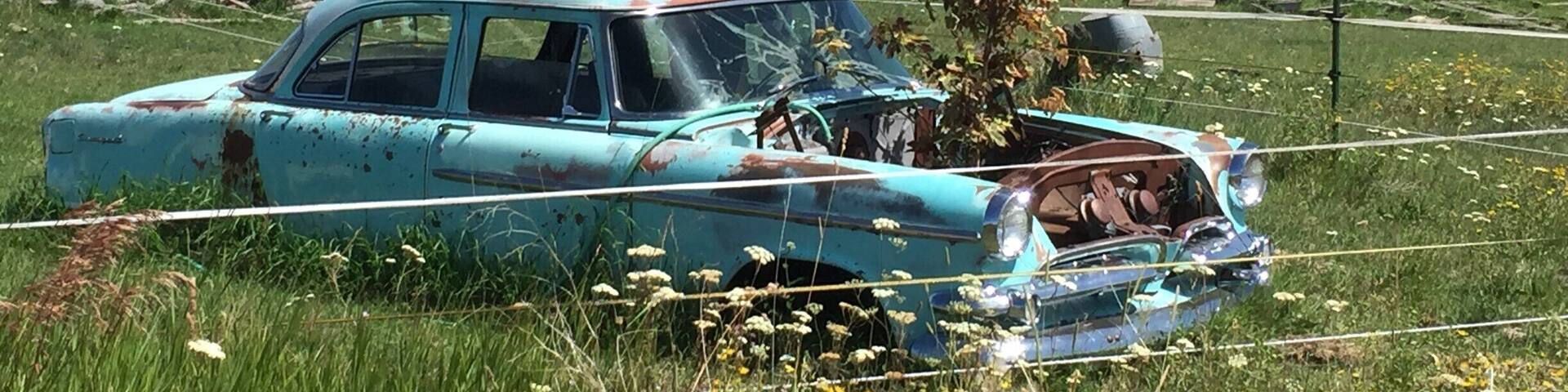 type of "planter" you can see while driving through the Wallowa-Whitman National Forest in Eastern Oregon. #lifeatexpedia