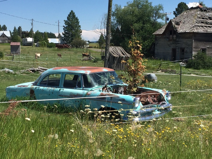type of "planter" you can see while driving through the Wallowa-Whitman National Forest in Eastern Oregon. #lifeatexpedia