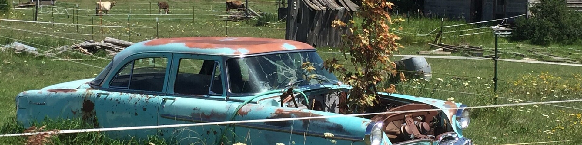 Ein blauer Oldtimer steht auf einem Feld in ländlicher Umgebung, im Hintergrund ein baufälliges Holzhaus.