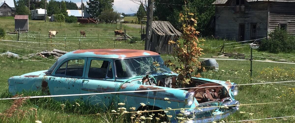 A blue vintage car in a rural field with a dilapidated wooden house in the background.