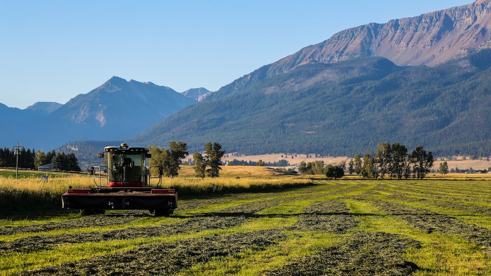 A tractor in a field with mountains in the background.