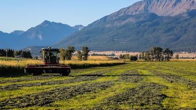 Um trator em um campo, com montanhas ao fundo.