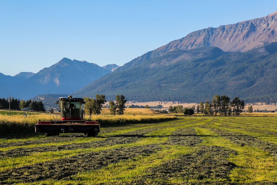 Un tractor en un campo con montañas al fondo.