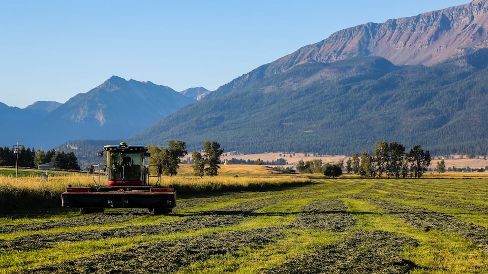 A tractor in a field with mountains in the background.