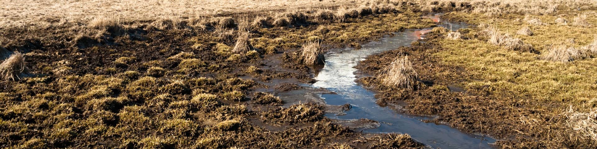 Red Barn Endures Mountain Winter Wallowa Whitman National Forest