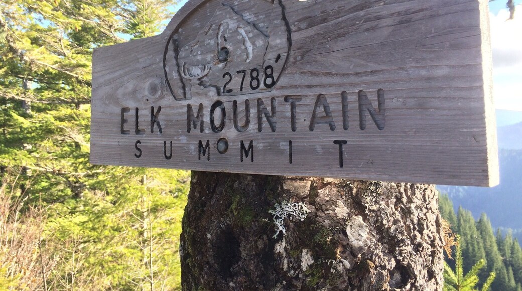 Here in the Great Northwest, those of us to take to the great outdoors generally have one destination, the Cascade Mountain range that runs pretty much through the center of Oregon and Washington going North/South. There is the Olympic Range to the north and west, the Blue Mountains to the East and Steens Mountain at the edge of the desert near Nevada. In fact, there are mountains all over the place, but those of us who hike and climb have essentially become snobs for the soaring peaks of the high Cascades. So much so that when someone tells us about a place called the “Coastal Range” sitting on the eastern rim of Oregon’s beaches, with its peaks topping out at a mere three thousand feet, we politely smile, and give off a glow of arch and patronizing wisdom. Three thousand feet is like a day in the park; a game of “Shoots and Ladders.” We’d hardly start breathing heavily before the whole thing was over and we were packing up the car.
Well, folks, I am here to tell you; that kind of pride serves you well until you find yourself in the unenviable task of having to swallow it. This weekend my hiking partner and I took to the road to make what we thought would a pleasant little jaunt up a version of “Candyland” called Elk Mountain. What we “thought” could not have been further from the truth. Meter for meter and foot for foot, it is one of the hardest climbs we have ever done. Most of the first two miles is on no less than a 40% grade, some of it steeper, and I found myself clambering and clawing that ascension almost as often as hiking it. The next two miles start with a near vertical drop of almost 60 feet (what the hiking books call a scramble), in which I was forced to use a part of my body not generally applied to locomotion just to keep my arrangement with the law of gravity at an even status quo. At a certain point, the trail forks indecipherably, and the two of us found ourselves on the wrong tine of that fork as we watched the path erase almost like magic in front of us. We took our life into our hands (frequently along with handfuls of wild rosebush thorns) by pushing up a seventy-five foot embankment to get enough elevation to see where we had gone wrong. By grace or by fortune, that dropped us right back on the trail, at which point, the mountain seemed to believe that we had been taught our lesson. There were more deep vertical scrambles (always down, why down?) and belly scraping, heart-pounding ascensions, but nothing of the kind we had already seen.
The last 4 miles bound and bounce down an old logging road, depositing you back at the place where you started, like Dorothy waking up in her bedroom; sad with newfound wisdom and heart aching with wonder.
It was painful, it was dangerous, and I tell you, my friends, I had a blast.
Beyond the sheer physical exertion, there are simply things to see that will make you marvel and gasp and keep you in a state where you feel as if you have permanently dropped your jaw.
And if this hyperbolic rant didn’t convince you to try it for yourself, maybe some of discoveries I post in the near future will.
If you’re up to the challenge, and don’t mind a little dirt, I highly recommend it.