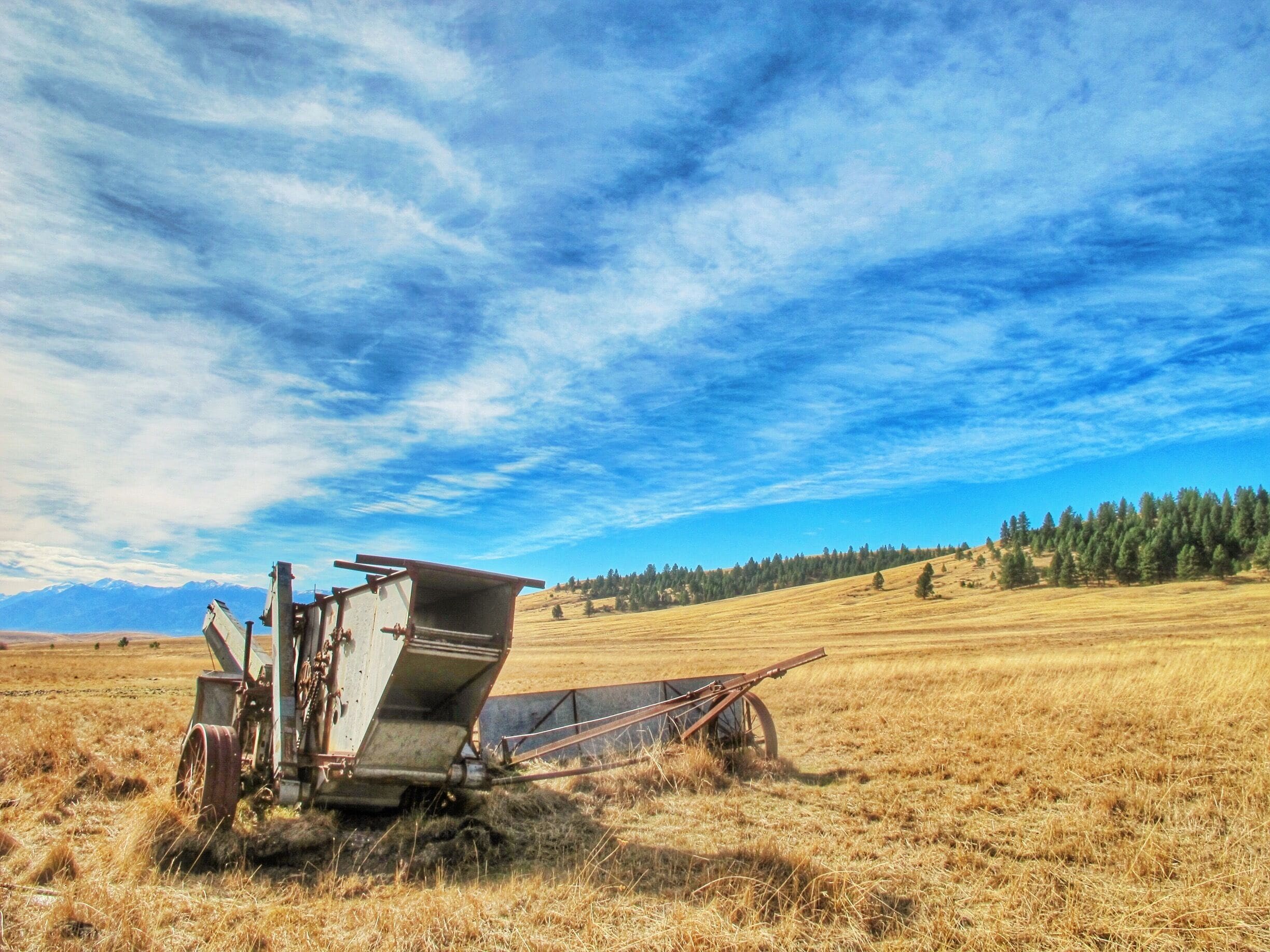 A vintage combine harvester in a golden field with a clear blue sky and distant mountains.