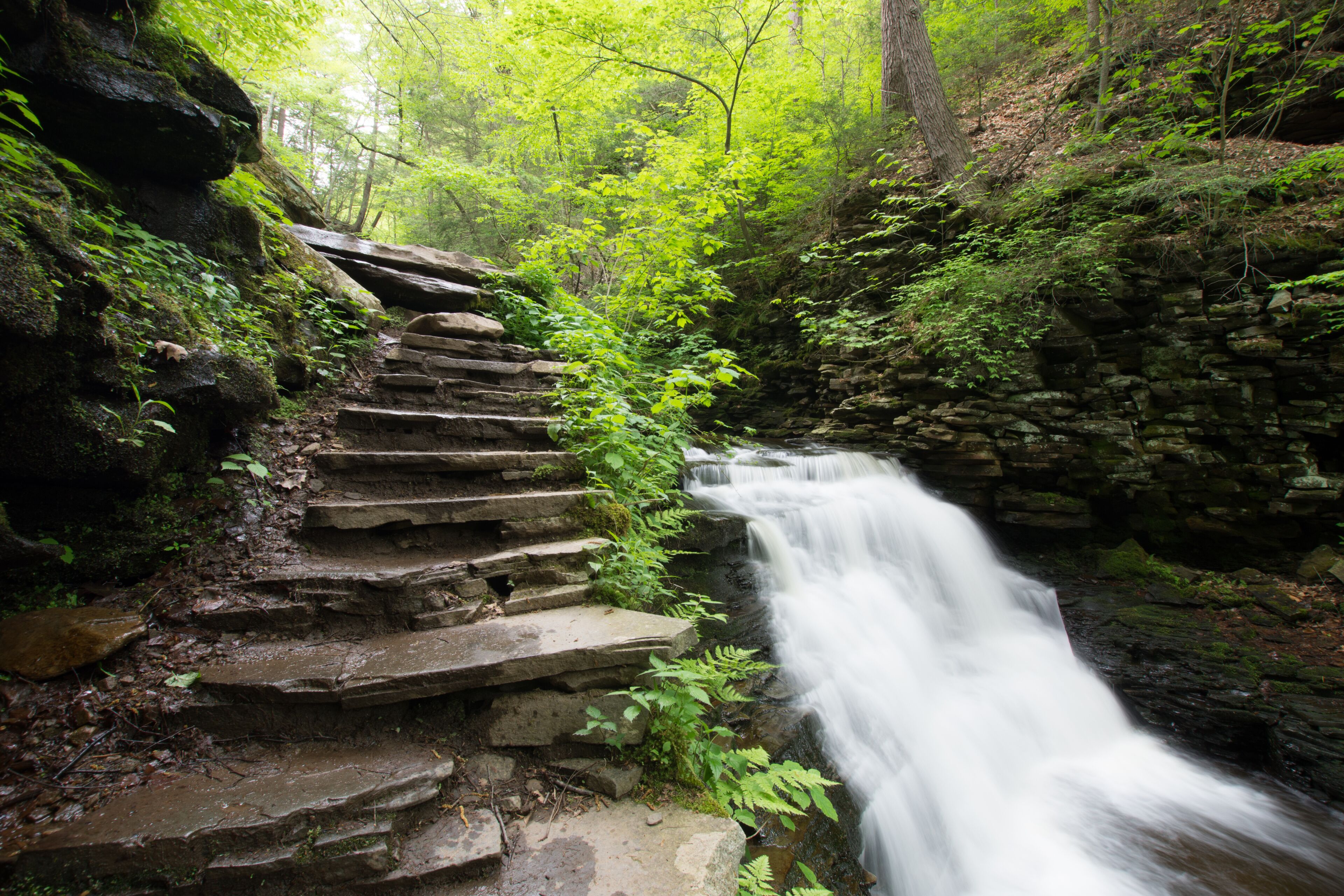 Scenic Waterfall in Ricketts Glen State Park in The Poconos in Pennsylvania