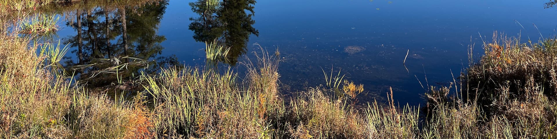 A lakeside view of the golf course at Cheraw State Park, South Carolina, USA.