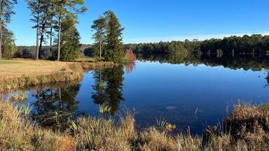A lakeside view of the golf course at Cheraw State Park, South Carolina, USA.