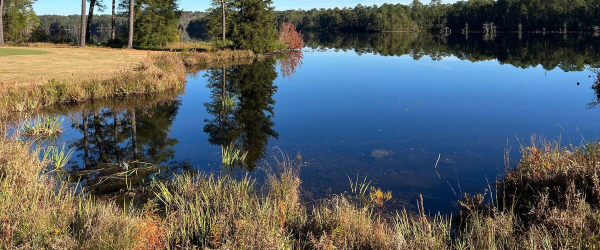 A calm lake with tall trees reflecting in the water, surrounded by grassy areas and dense forest.