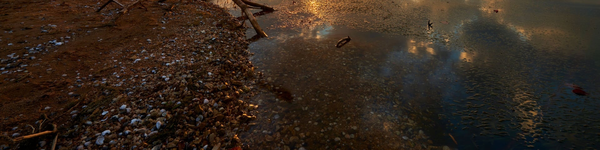 Magnificent sunset on Tennessee river