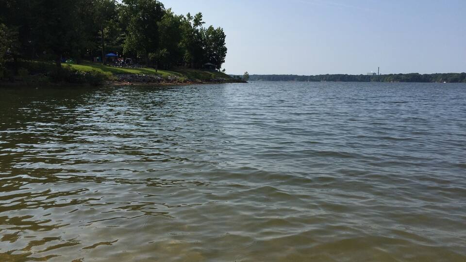A calm lake with gentle ripples, surrounded by dense trees and a distant shoreline.