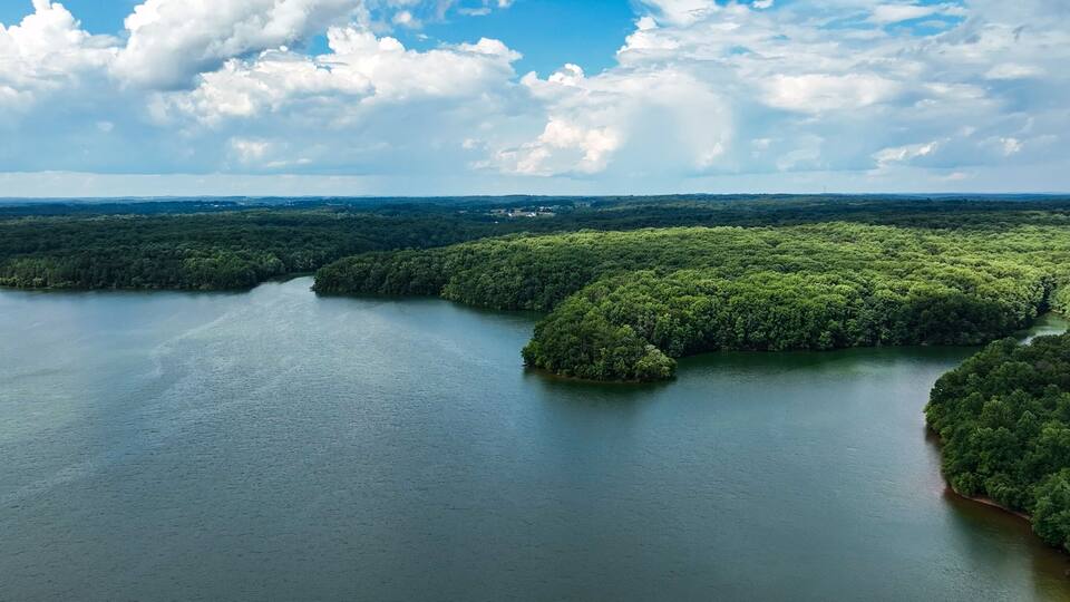 A river winding through a densely forested landscape with a clear sky.