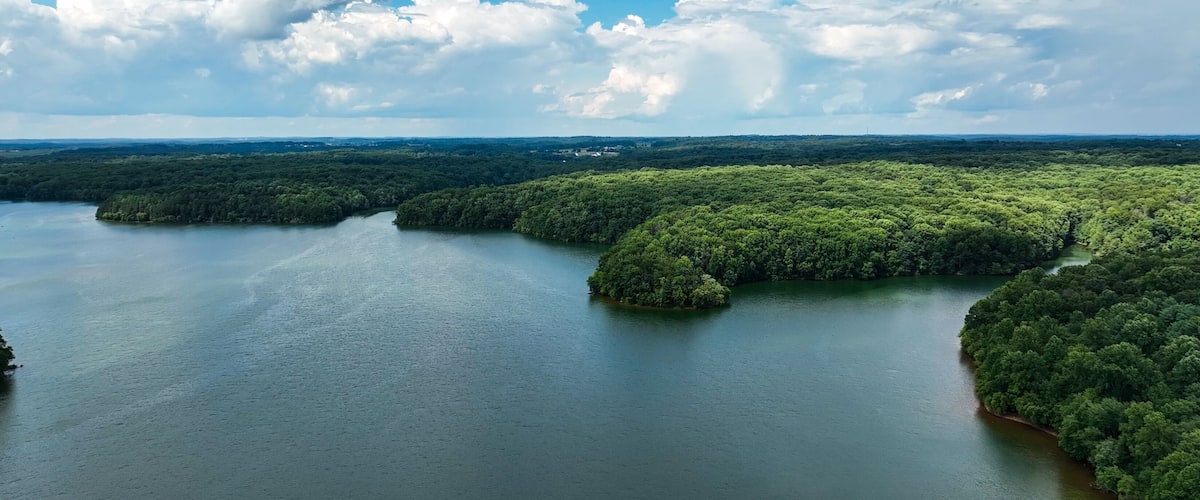 A river winding through a densely forested landscape with a clear sky.