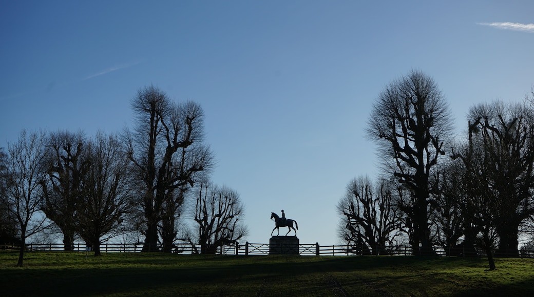 silhouette of horse statue - windsor
