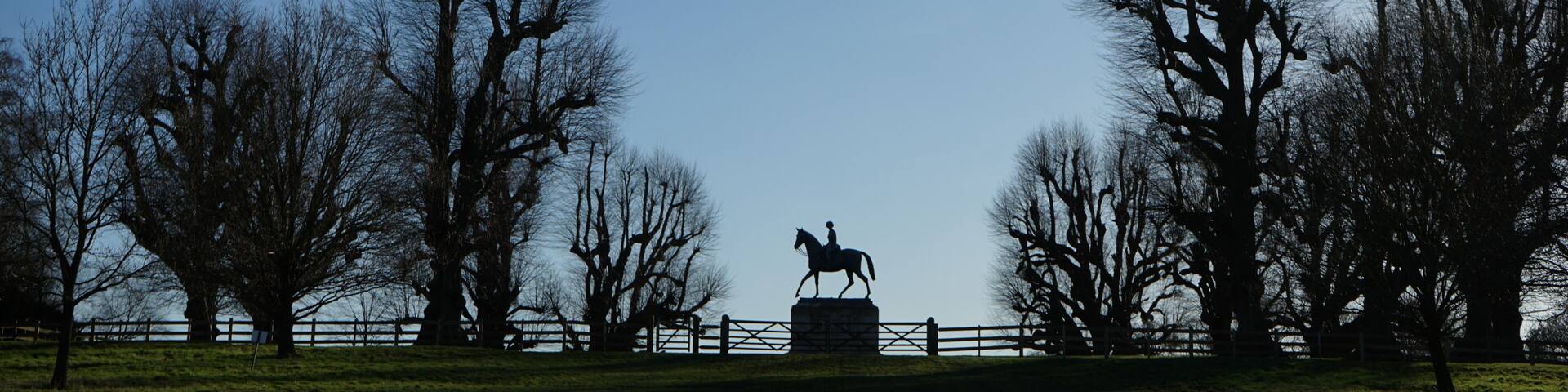 silhouette of horse statue - windsor